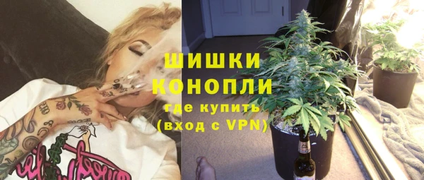 шишки Мегион